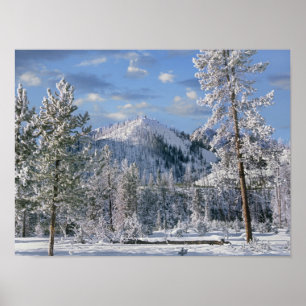 Póster Invierno en el Parque Nacional Yellowstone, Wyomin