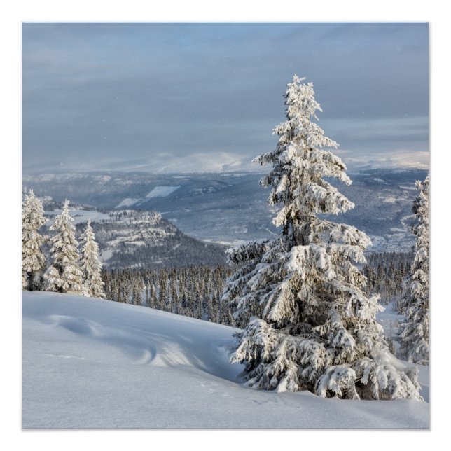 Póster Invierno en Noruega (Anverso)