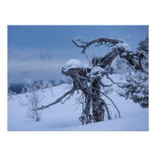 Póster Invierno extraterrestre de madera