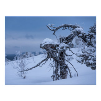 Póster Invierno extraterrestre de madera