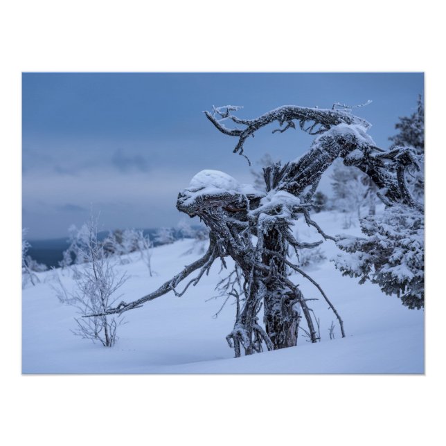 Póster Invierno extraterrestre de madera (Anverso)