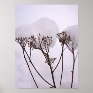 Póster Invierno, plantas en papel Poster de valor de niev