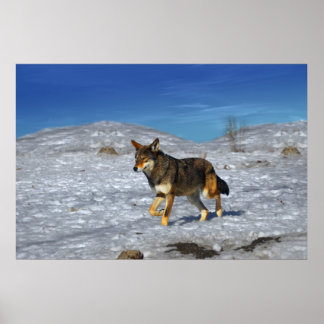 Póster Invierno Red Wolf Febrero 2011