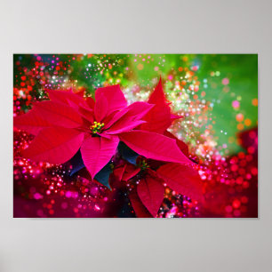 Póster Invierno rose, poinsettia/pastora roja feriada