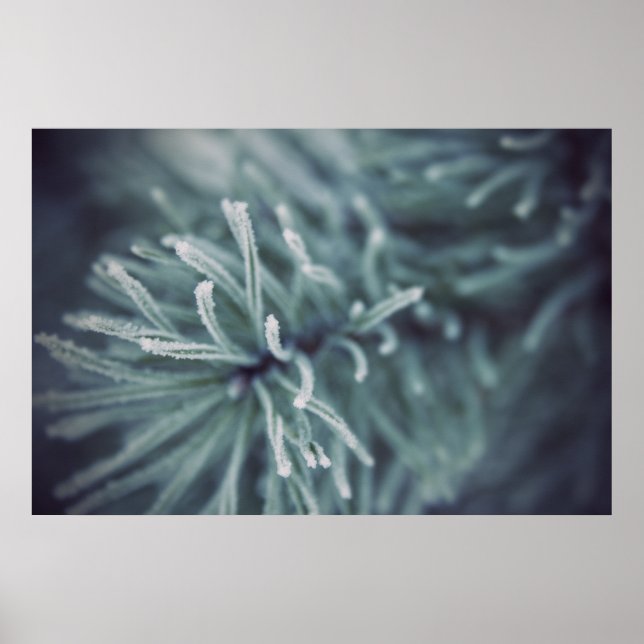 Póster Invierno siberiano 3 (Frente)