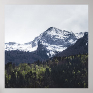 Póster Invierno y primavera - árboles verdes y montaña ne