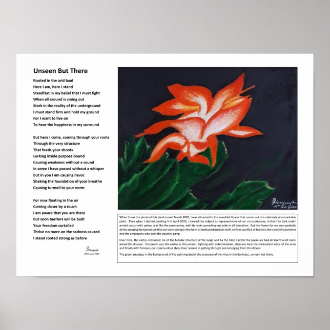 Póster Invisible Pero Ahí (Frente)