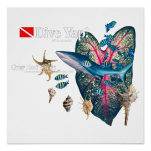 Póster Invitación tropical