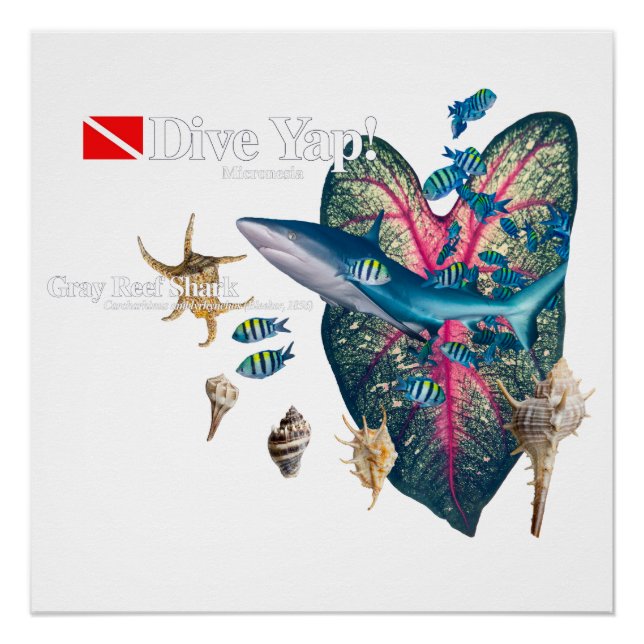 Póster Invitación tropical (Anverso)