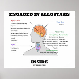 Póster Involucrados En Allostasia Dentro (Hormonas Endocr