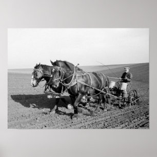 Póster Iowa Corn Planter, 1940s