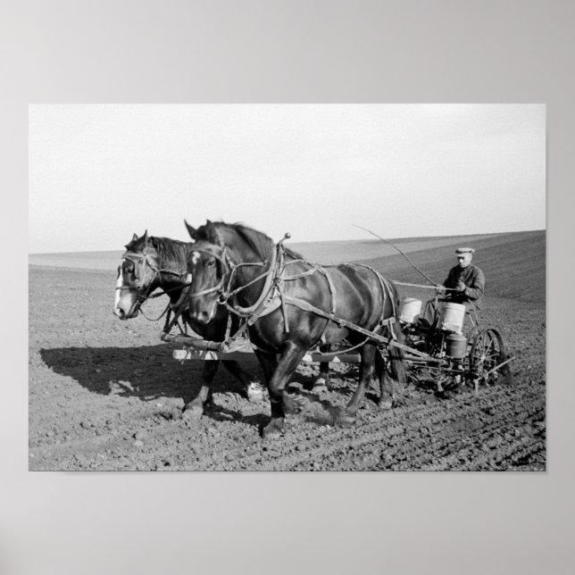 Póster Iowa Corn Planter, 1940s (Frente)