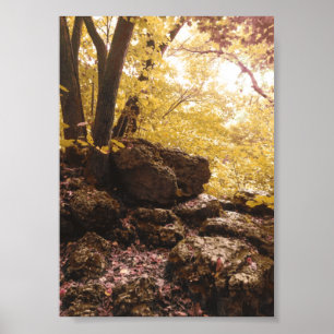 Póster iowa del parque de estados de la columna vertebral