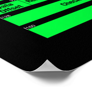 Póster IPv4 y poster de los jefes de TCP