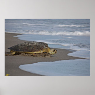 Póster Ir a casa II