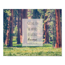 Ir al bosque | POSTER