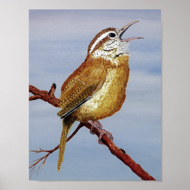 Póster Irate Carolina Wren (Frente)