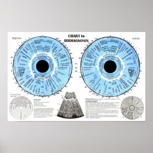 Póster Iridiagnosis Iridología Carta del Ojo