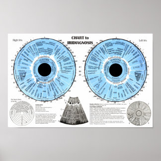 Póster Iridiagnosis Iridología Carta del Ojo 