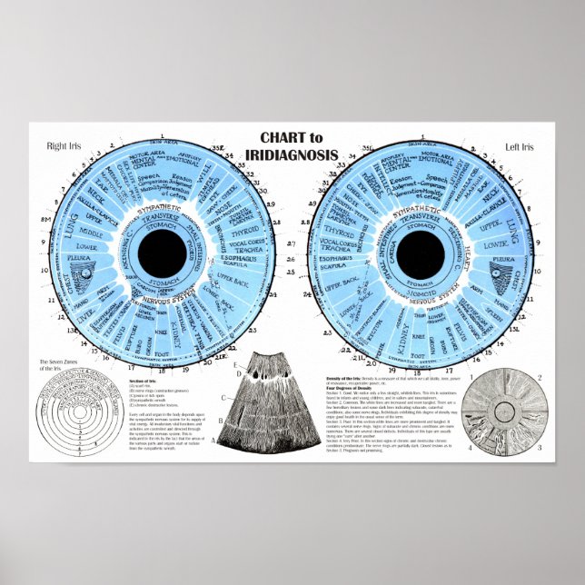 Póster Iridiagnosis Iridology Eye Chart  (Frente)
