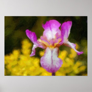 Póster Iris