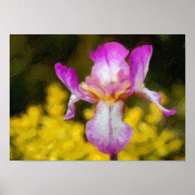 Póster Iris (Frente)