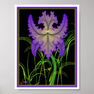 Póster Iris