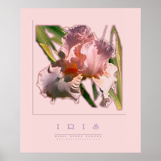 PÓSTER IRIS (Frente)