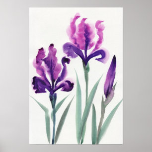 Póster Iris