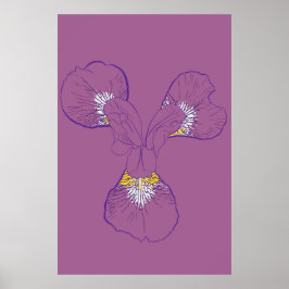 Póster Iris Botanical Line Art