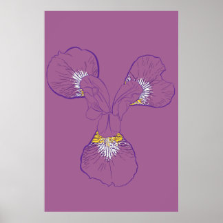 Póster Iris Botanical Line Art