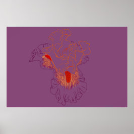 Póster Iris Botanical Line Art