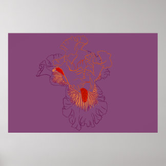 Póster Iris Botanical Line Art