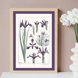 Póster Iris Botanical Verneuil