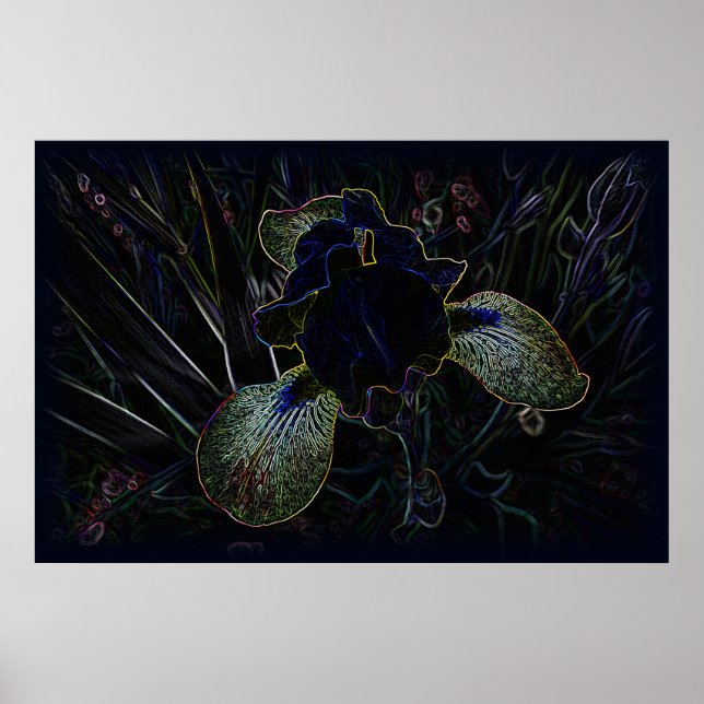 Póster Iris brillante (Frente)