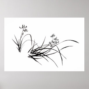 Póster Iris chino en primavera