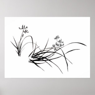 Póster Iris chino en primavera
