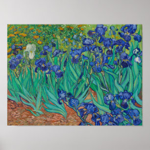 Póster Iris de Van Gogh
