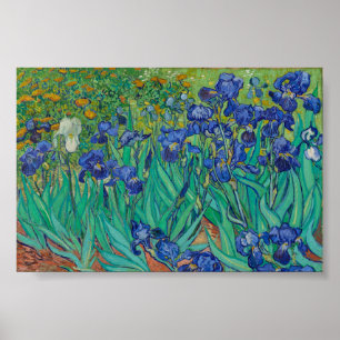 Póster Iris de Van Gogh