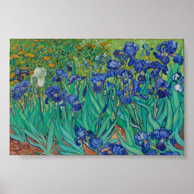 Póster Iris de Van Gogh (Frente)