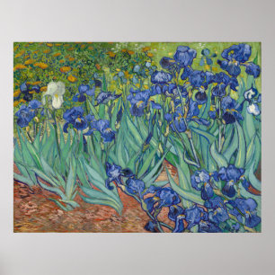 Póster Iris de Vincent van Gogh