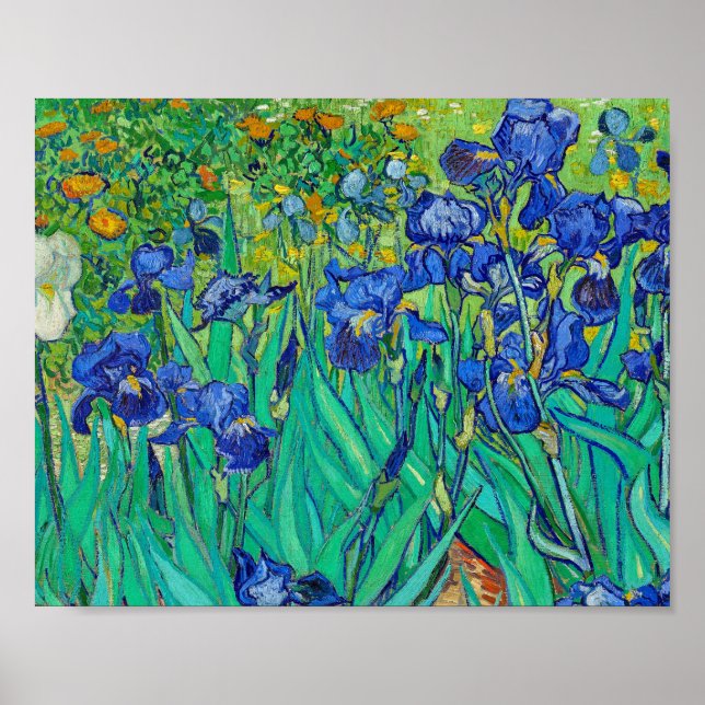 Póster Iris de Vincent Van Gogh (Frente)