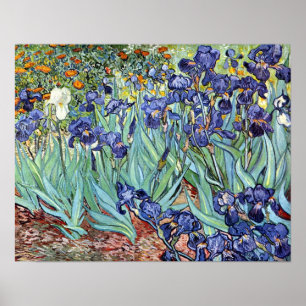 Póster Iris de Vincent van Gogh 1898