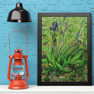 Póster Iris de Vincent van Gogh, Bella Artes del Jardín V