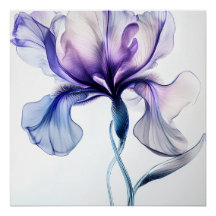 Iris Délicat en Fleurs