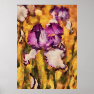 Póster Iris - Diafragma violeta