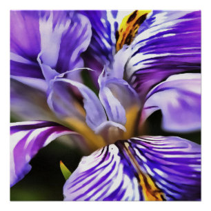 Póster Iris en Lilac violeta y arte botánico morado