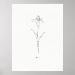 Póster Iris Flower Print