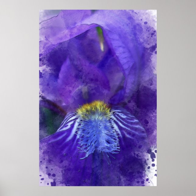 Póster Iris Flower Purple Watercolor (Frente)