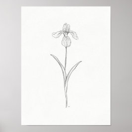 Póster Iris Flower Sketch Print